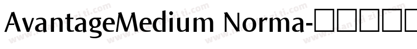 AvantageMedium Norma字体转换